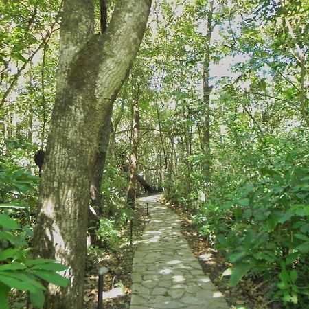 Pousada Eden - Conforto, Imersao E Natureza Sao Jorge  Exterior photo