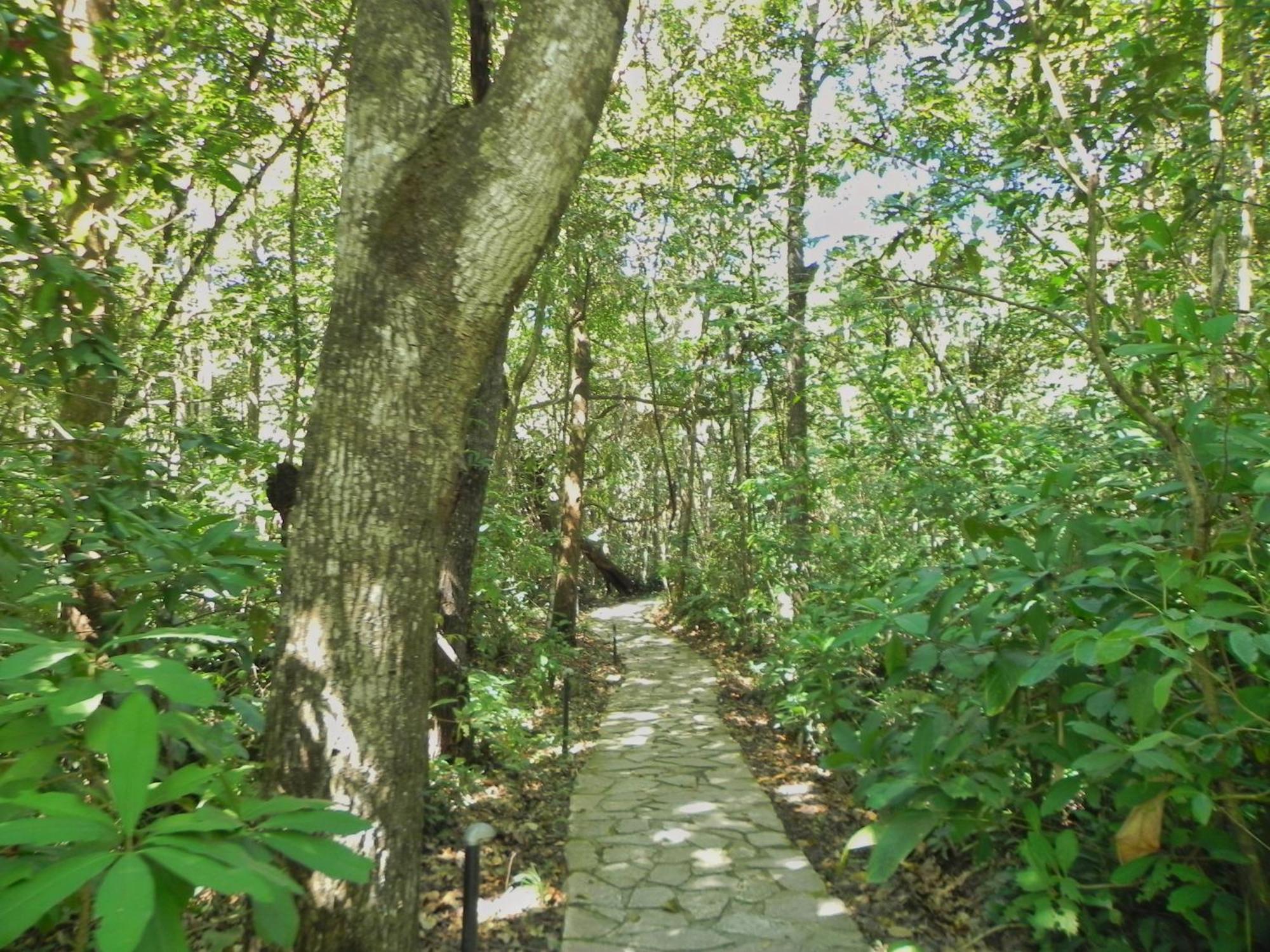 Pousada Eden - Conforto, Imersao E Natureza Sao Jorge  Exterior photo